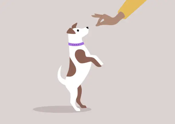 Vector illustration of A puppy eagerly jumping for food held in its owner's outstretched hand, creating a moment of quality time and companionship with the dog