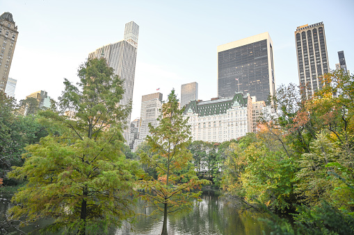 Manhattan, New York City. Nature of Central Park in the autumn.