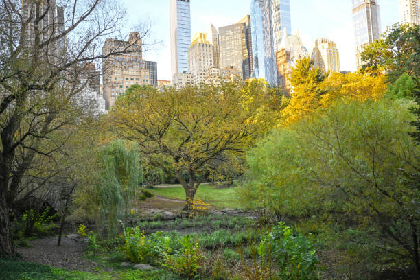 istock Central Park in Autumn 1758785670