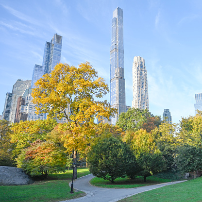 Manhattan, New York City. Nature of Central Park in the autumn.