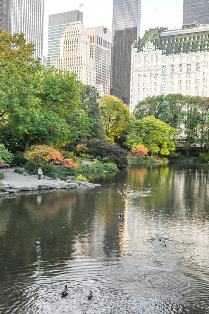 istock Central Park in New York City 1758788897