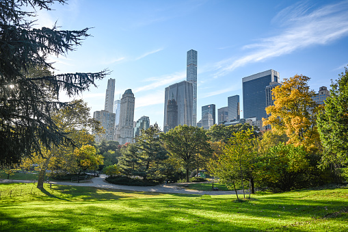 Golden autumn in Central Park, New York City, with skyline.