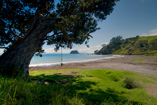 Fletcher bay campground at the top of the Coromandel Peninsular on North Island, New Zealand