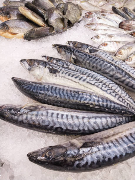istock Fresh mackerel fishies in supermarket 1758884088