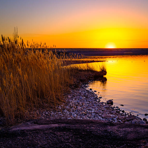 Waurika Dam Road in sunset