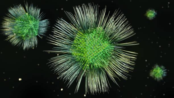 istock A single identified species named Acanthamoeba polyphaga mimivirus or APMV 1758937540