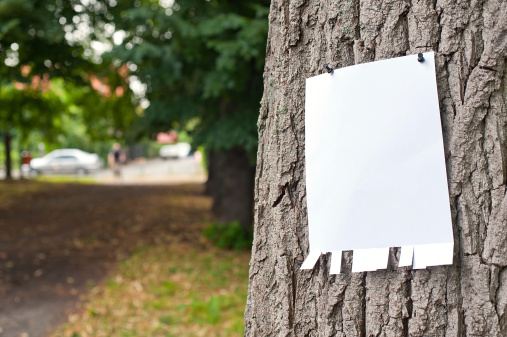 Pinned blank vertical paper label on a tree
