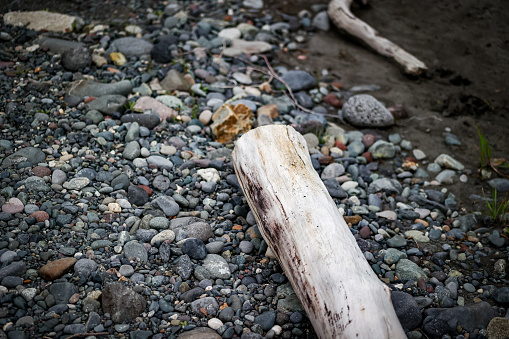 Rocks and driftwood sit on the shore of a river in Alaska
