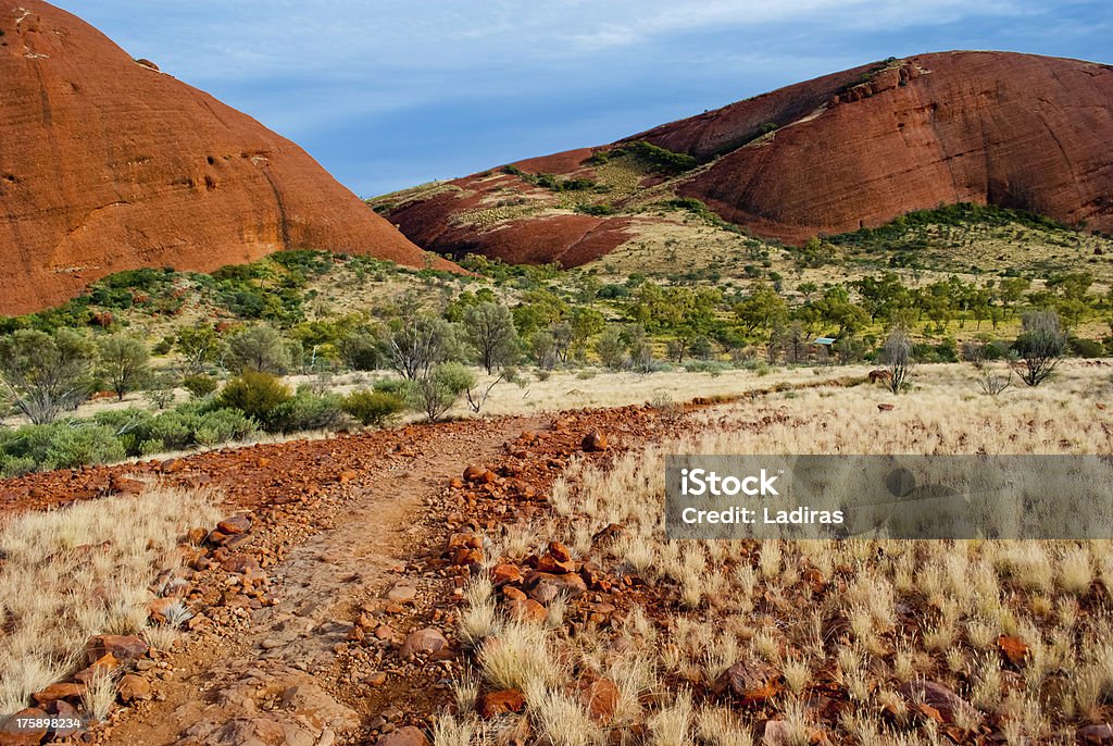 Natureza selvagem no Deserto australiano australiano - Royalty-free Ao Ar Livre Foto de stock