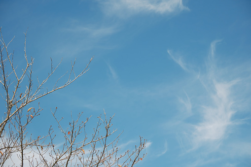 Winter sky image landscape