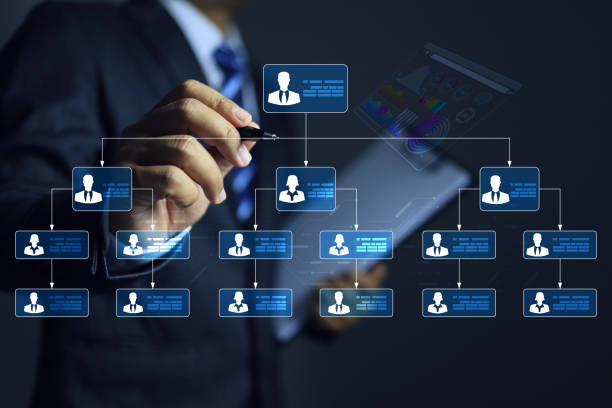 concepto de gestión de - organization chart decisions business business person fotografías e imágenes de stock