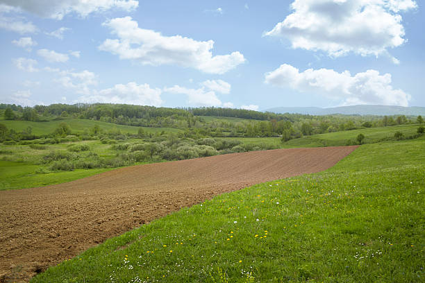 Terra coltivata - foto stock