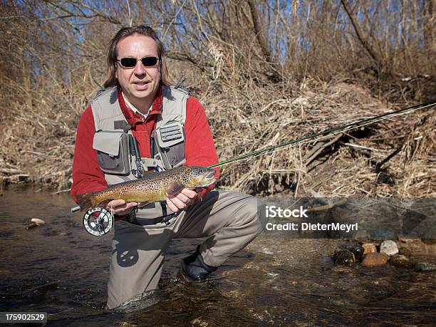 Flyfisherman Impugnando Una Trota Comune - Fotografie stock e altre immagini di Acqua - Acqua, Acqua fluente, Adulto