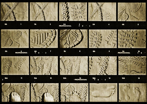 Vintage contact sheet Contact sheet with photos of  bicycle and foot prints all over. contact sheet stock pictures, royalty-free photos & images