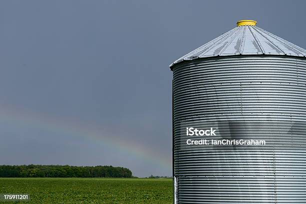 Foto de Silo e mais fotos de stock de Agricultura - Agricultura, Ajardinado, Arco-íris