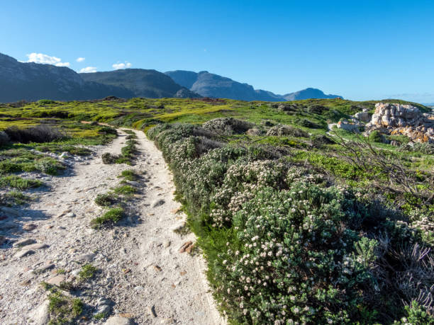 Ruta de senderismo por la Reserva del Cabo Hangklip - foto de stock