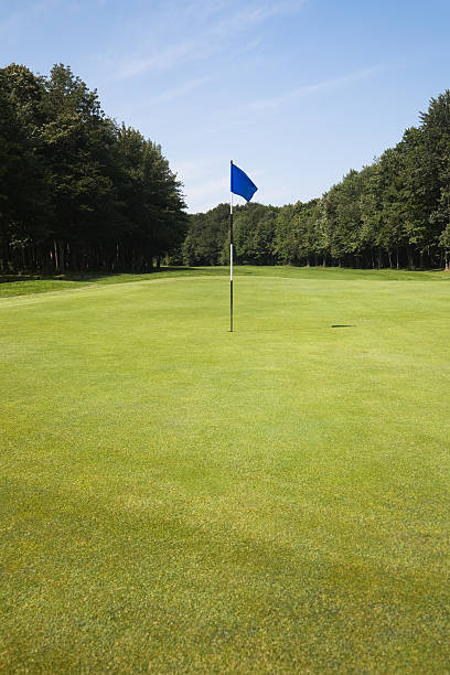 istock Blue pin on the golf green hole further back vertical 175912821