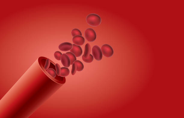 유혈 혈관 - blood cell anemia cell structure red blood cell stock illustrations