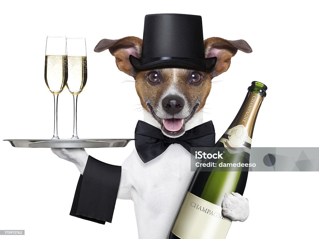 Hund Anstoßen - Lizenzfrei Alkoholisches Getränk Stock-Foto