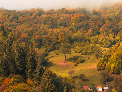 Misty fall Carpathian Mountains fog landscape. Village in Transcarpathia region Foggy spruce pine trees forest scenic view Ukraine, Europe. Autumn countryside Eco Local tourism Recreational activities
