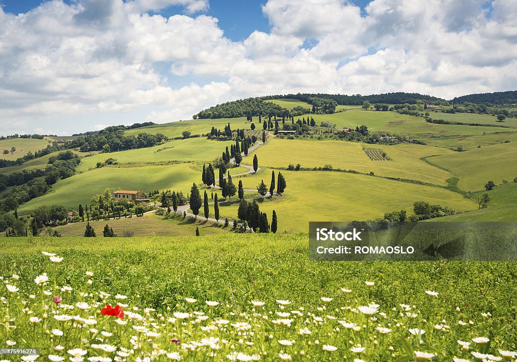 Tortuosa strada Cypress foderato in Monticchiello Val d'Orcia, Toscana, Italia - Foto stock royalty-free di Monticchiello di Pienza