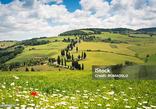 Tortuosa Strada Cypress Foderato In Monticchiello Val Dorcia Toscana Italia - Fotografie stock e altre immagini di Monticchiello di Pienza