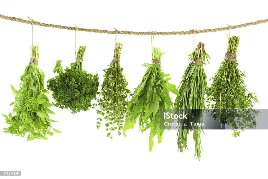 Set of Spice Herbs - Hanging and Drying,  isolated Set of Spice Herbs  /  isolated on white background /  bunches of thyme, basil, oregano, parsley, sage and rosemary are hanging and drying Herb Stock Photo