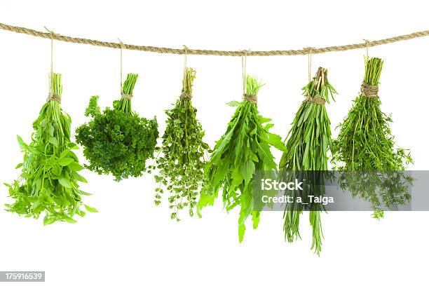 Set Of Spice Herbs Hanging And Drying Isolated Stock Photo - Download Image Now - Herb, Herbal Medicine, Hanging