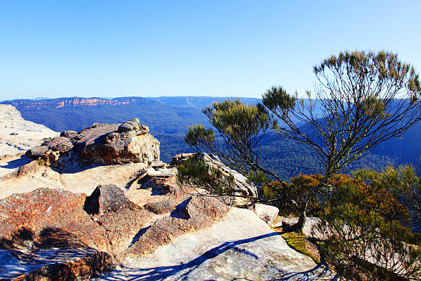 istock View from Flat Rock Kings Tableland  Blue Mountains National Park 175919918