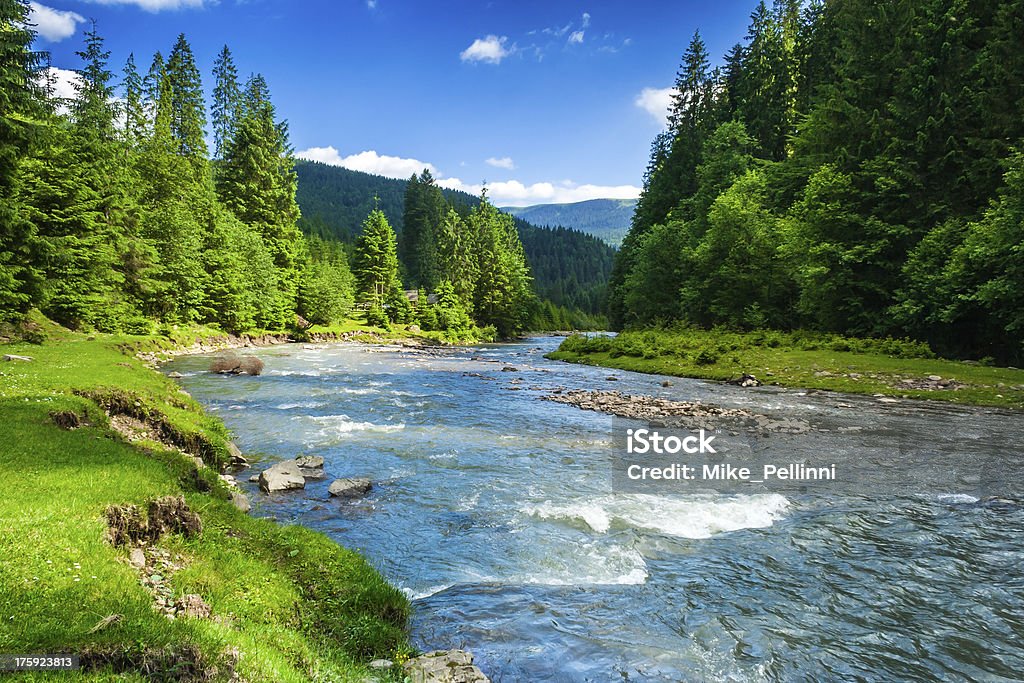 Mountain river landscape with mountains trees and a river in front River Stock Photo