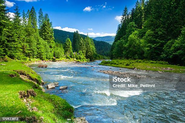 Mountain River Stock Photo - Download Image Now - River, Stream - Body of Water, Forest