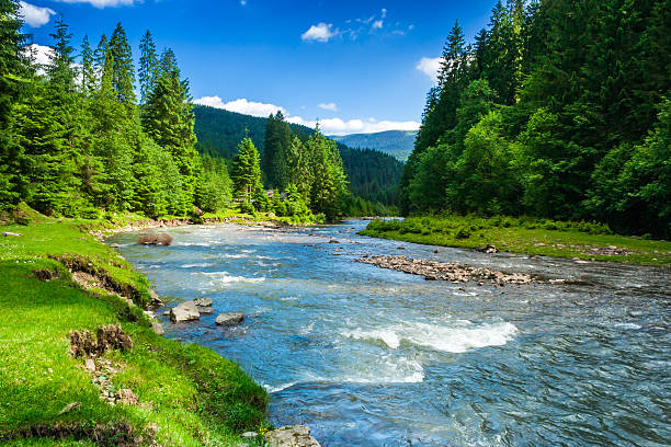 mountain river - akan su stok fotoğraflar ve resimler