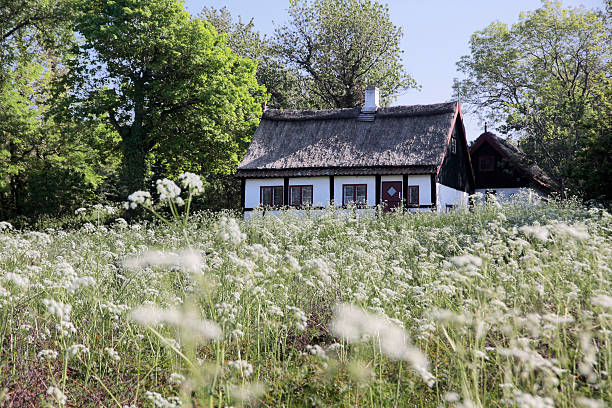 idílico cabaña de paja - denmark house cottage rural scene fotografías e imágenes de stock