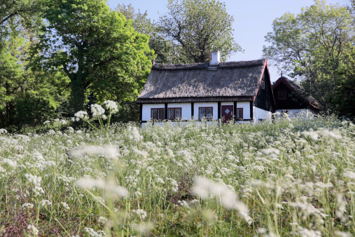 Idyllic thatched cottage with spring meadow on Bornholm, Denmark