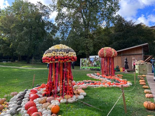 kürbisfest in ludwigsburg, deutschland, bunte parkskulpturen aus kürbissen in verschiedenen formen und größen - ludwigsburg stock-fotos und bilder