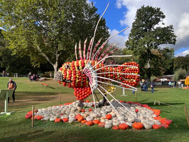 kürbisfest in ludwigsburg, deutschland, weltgrößte kürbisausstellung im blühenden barock eröffnet - ludwigsburg stock-fotos und bilder