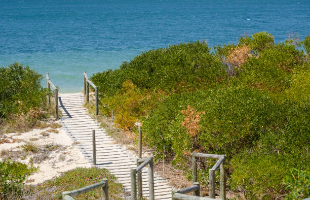 istock Boardwalk to the blue ocean beach with greenery trees alongside at Brighton le sands, Sydney, Australia. 1759288709