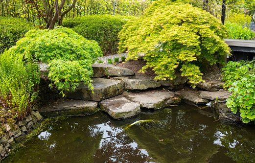 The Japanese Garden on a sunny day. Compans Caffarelli district. Toulouse. France