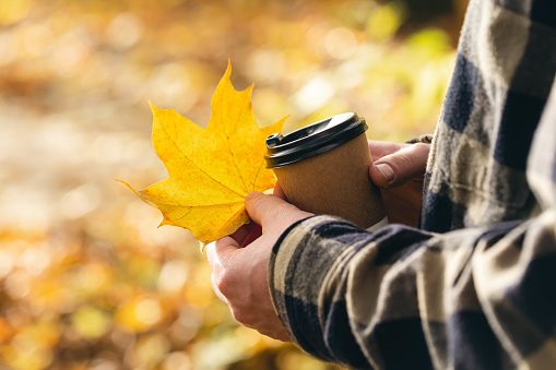 Male hand with paper cup of coffee and autumn leaf, against the background of forest, copy space.