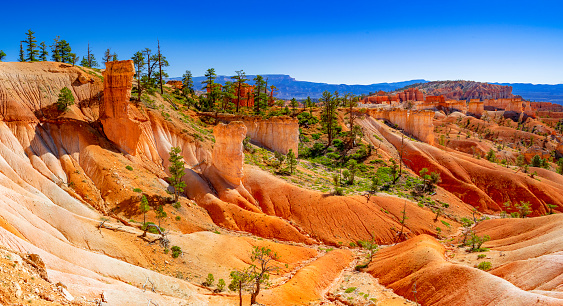 The vibrant layers, ranging in colors from deep reds and oranges to subtle shades of gray, offer a visual timeline showcasing the forces of nature that shaped the region over millions of years. The South Rim, Grand Canyon National Park, Arizona.