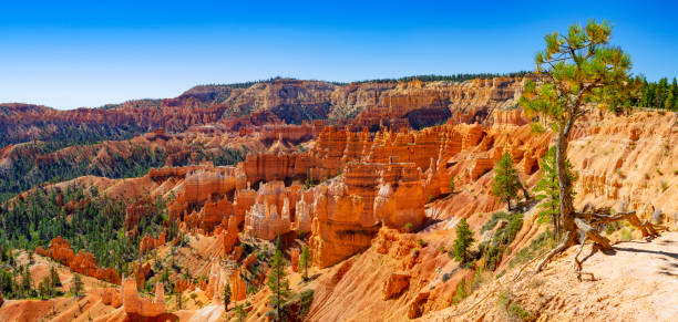 istock Bryce Canyon National Park 1759348960