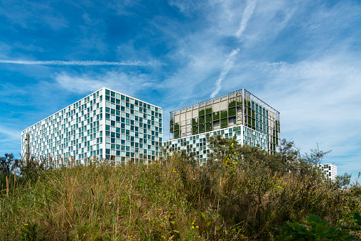 Spreebogenpark with Buildings of Bundesministerium für Bildung und Forschung, Futurium office building and Charite in background blue sky and green grass
