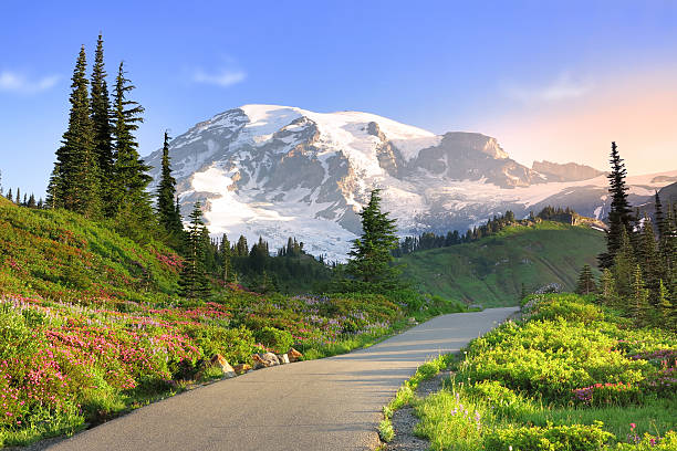 belleza en la naturaleza - monte rainier fotografías e imágenes de stock