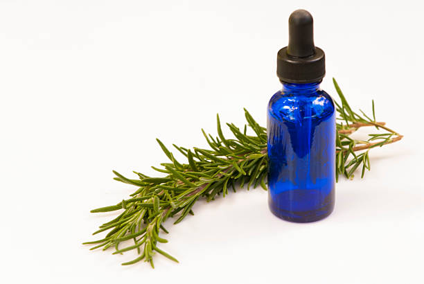 istock Fresh Rosemary with Blue Medicine Bottle 175937728