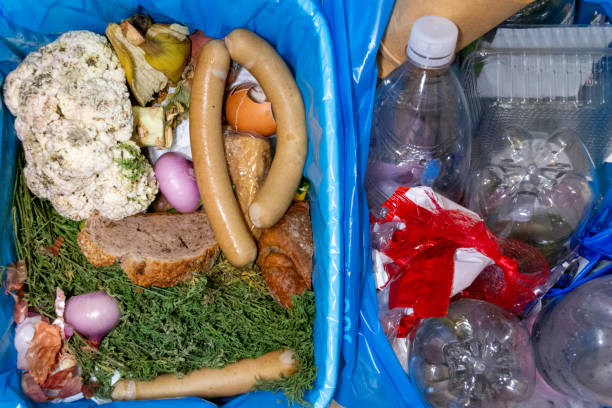 istock trash can, garbage bin,  food waste, organic waste, compost. And trash can with plastic waste. Sorting 1759405268