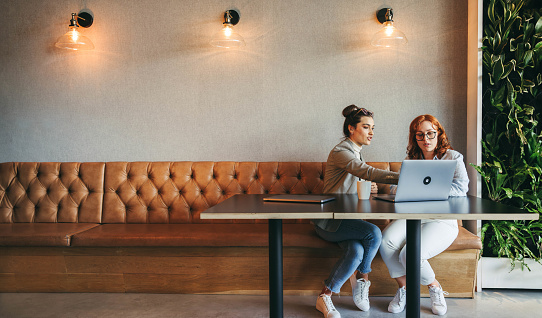 Professionals in a coworking space collaborate and discuss ideas. Businesswomen and coworkers work on laptops, engaging in discussions. They emphasize teamwork, analyze data, and develop software.