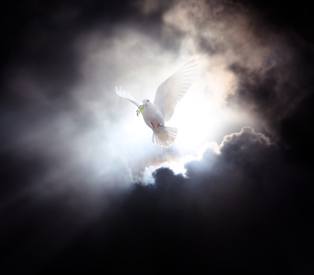 Pentecost Holy Spirit concept with a bright and strong ray of light shining through the dark sky and clouds, and a white dove flying with a leaf in its mouth, a symbol of freedom and peace.