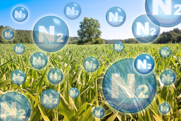 l’azote gazeux n2 est le principal constituant de l’atmosphère terrestre - concept avec des molécules d’azote dans un champ agricole - fertilizer nitrogen potassium particle photos et images de collection