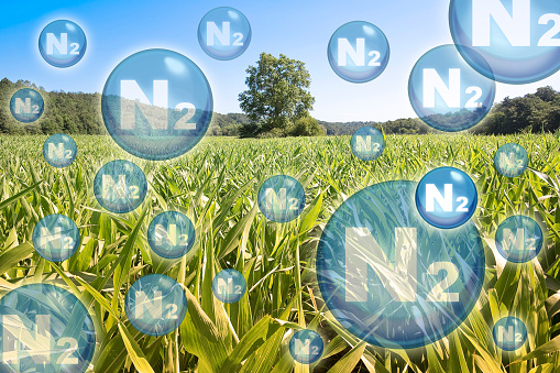 N2 nitrogen gas is the main constituent of the earth's atmosphere - concept with nitrogen molecules against an agricultural field
