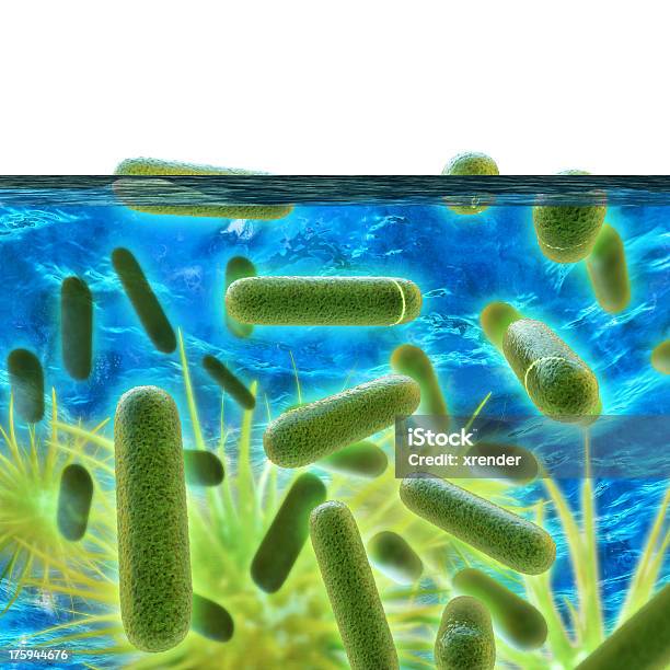 Legionellen 3 D レンダリングされた図 - レジオネラ菌のストックフォトや画像を多数ご用意 - レジオネラ菌, 感染症, 水泳